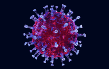 virus.gif